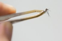 2.2 مليار شخص 