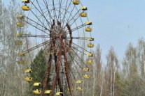 تشيرنوبل يتحول إلى محمية نادرة للحيوانات البرية