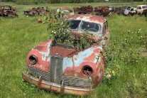 هاو سيارات يعلن استسلامه ويقرر بيع 130 سيارة