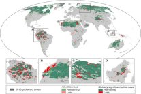 في 25 عاماً.. قضينا على 10% من سطح الأرض