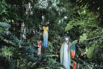 عرض مجموعة بول كا الجديدة وسط الطبيعة