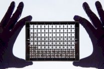 أكثر من نصف أدوية السرطان عديمة الفائدة