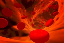 فصيلة الدم تحدد الأمراض التي قد تصيب الفرد