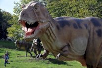 المعدن الذي تسبب بانقراض الديناصورات يستخدم لعلاج السرطان