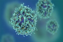 علماء يقترحون الجوع للقضاء على السرطان