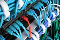 السجن 20 عاماً لأميركي يدير موقعاً إباحياً للأطفال