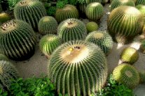 أشياء تُهّرب في المطارات تسّمر لها العيون