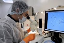 علماء ينجحون في تجديد الجلد وتحفيز نمو الشعر