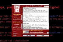 شركة كورية جنوبية تدفع مليون دولار لقراصنة لـ