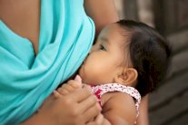 سكريات حليب الأم مضادات حيوية طبيعية