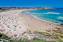 أستراليا تكافح سمك القرش بالتكنولوجيا