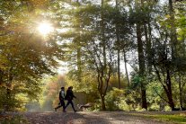 الرياضة تحد من أعراض الاكتئاب