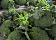 الزبادي بالبروكلي يحميك من الإصابة بسرطان الأمعاء