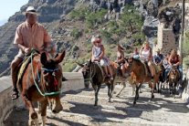 اليونان .. قرار بمنع السياح زائدي الوزن من ركوب الحمير !