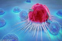 السرطان قابل للموت ... وهذا هو قاتله!