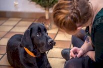 تبني حيوان أليف يمكن أن يساعد في تخفيف أعراض الاكتئاب !