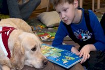 اقتناء حيوان أليف في المنزل يحمي الأطفال من الربو وحمى القش !