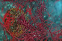 البدانة سبب رئيس للإصابة بالسرطان