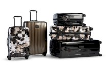 تومي تطرح تشكيلة حقائبها لموسم ربيع 2019