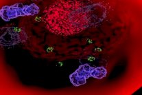 أعراض تؤشر الى إصابة الرجال بالسرطان 