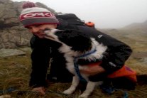 كلب شغل العالم الافتراضي يعود إلى مالكه