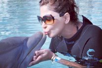 إليسا تفتقد دلافين البهاماس