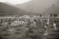 البرازيل... تاريخ حافل بالعبودية