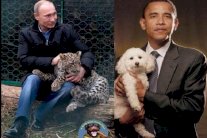 سياسيو روسيا: بوتين يداعب فهدا وأوباما يداعب كلبا