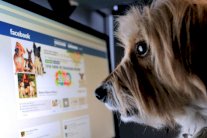 الغيرة من الأصدقاء على فايسبوك تسبب الاكتئاب!