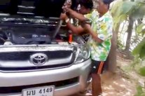 أفعى ضخمة تتخذ محرك سيارة مأوىً لها 