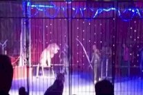 أسد يهاجم مدربته أثناء أحد عروض السيرك