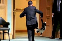 قطة تعطّل جلسة في البرلمان الأردني!