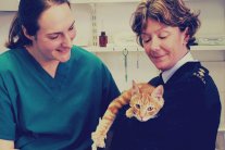 قط يختفي في مصر فيظهر في بريطانيا!