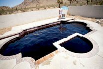 يسبحون في الكوكا ويشربون منها