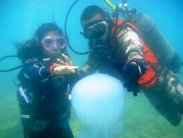 صور خطوبة لبناني تحت الماء تثير إعجاب المُبحرين