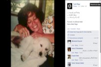 شقيقة خالد أبو النجا تفتدي قططها بحياتها