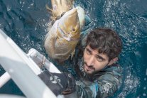 حمدان بن محمد في أعماق البحر