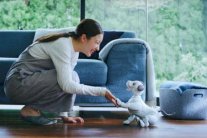 كلب روبوت... هل تقتنيه؟