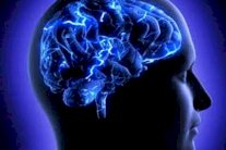 تنمية قطع غيار للدماغ في المختبر !