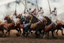 مصرع فارس مغربي بعد تعرضه لطلق ناري عن طريق الخطأ