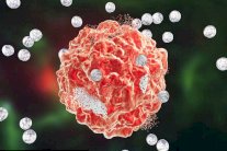 مقاومة نصف أنواع السرطانات قد تصبح متاحة