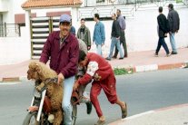  تجدد الجدل بالمغرب حول الاقتراض من البنوك لشراء أضحية العيد