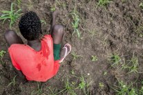 الجنود الأطفال في جنوب السودان يأملون بمستقبل أفضل