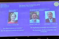 نوبل الكيمياء إلى ثلاثة علماء سخروا مبادئ نظرية التطور لأغراض علاجية وصناعية