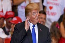 ترمب: انتخابات التجديد النصفي للكونغرس حققت نجاحًا هائلًا