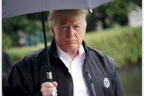 تصريح ترمب حول الغابات في فنلندا يشعل وسائل التواصل الاجتماعي