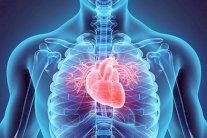 الذكاء الاصطناعي أدق من الفحوص التقليدية في اكتشاف أمراض القلب