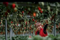 جائزة حمدان بن محمد للتصوير تنشر الصور الفائزة بمسابقة 