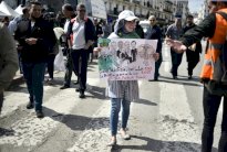 مواقع التواصل تحفظ ذاكرة الحراك في الجزائر