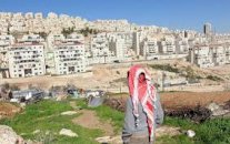 عمّان وأبوظبي تؤكدان رفضهما ضم اسرائيل أراض في الضفة الغربية